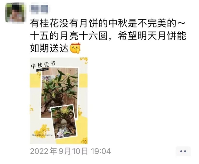 静待花开,泸州满城桂花飘香等你……(图1) 1.jpg