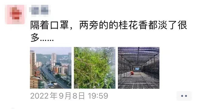静待花开,泸州满城桂花飘香等你……(图2) 2.jpg