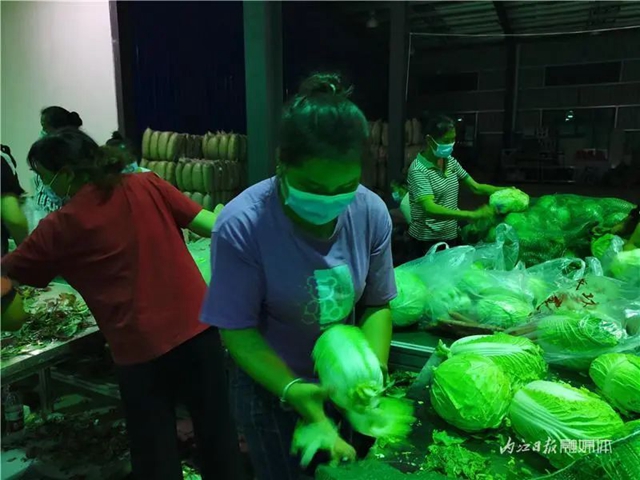 揭秘!内江人,你收到的“蔬菜包”是这样来的(图2) 2.jpg