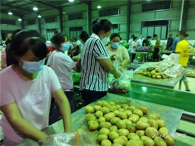 揭秘!内江人,你收到的“蔬菜包”是这样来的(图4) 4.jpg