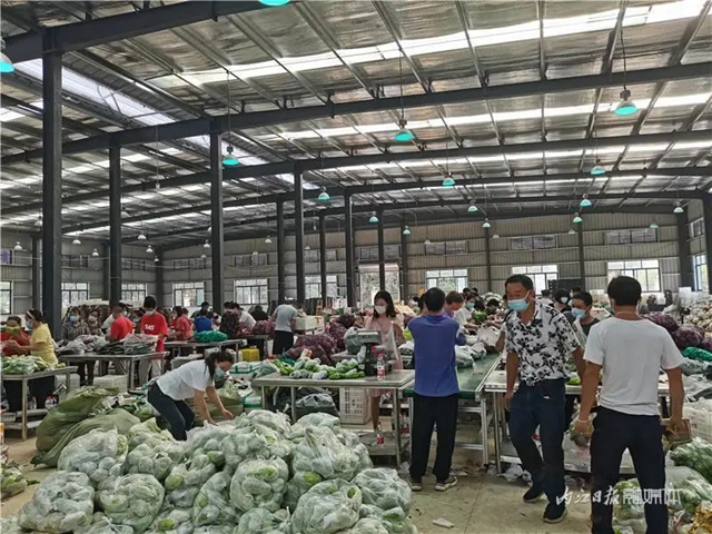 揭秘!内江人,你收到的“蔬菜包”是这样来的(图8) 8.jpg