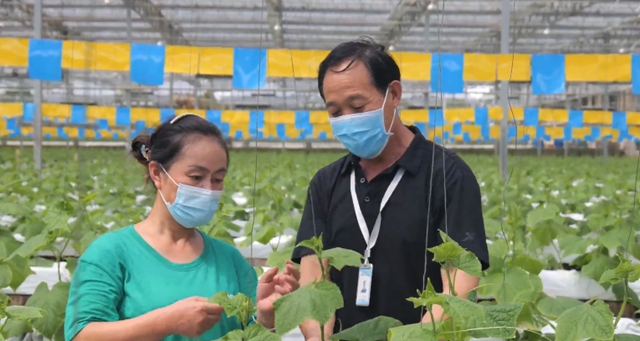 泸州董允坝现代农业园区:全力以赴抓晚秋生产(图3) 董3.jpg