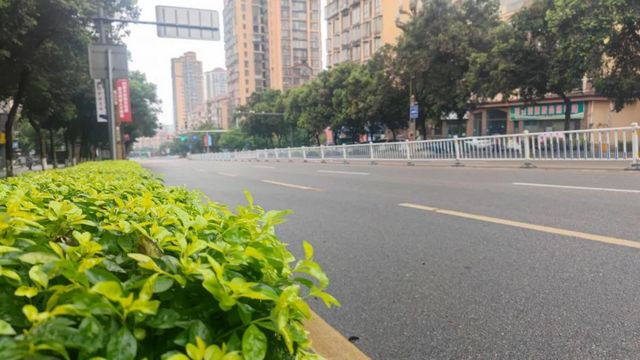 解“静”首日 “烟火气”渐归云溪(图2) nEO_IMG_2.jpg