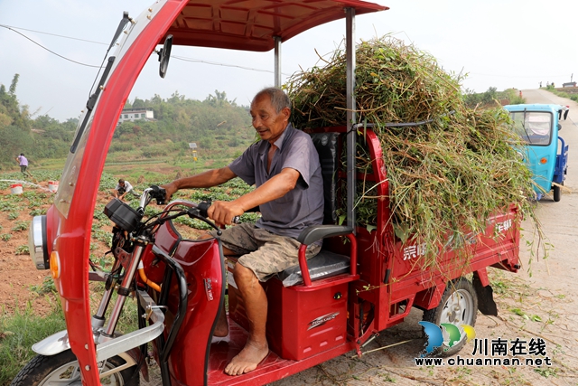 运输秸秆.JPG