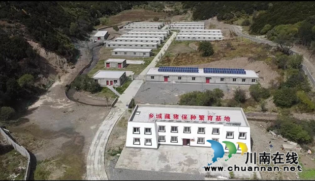 泸州对口帮扶：筑巢引凤齐发力，产业花开烂漫时