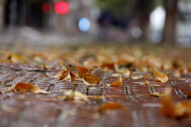 【扩散】还要降温,包裹好这五个部位!(图3) 3.jpg