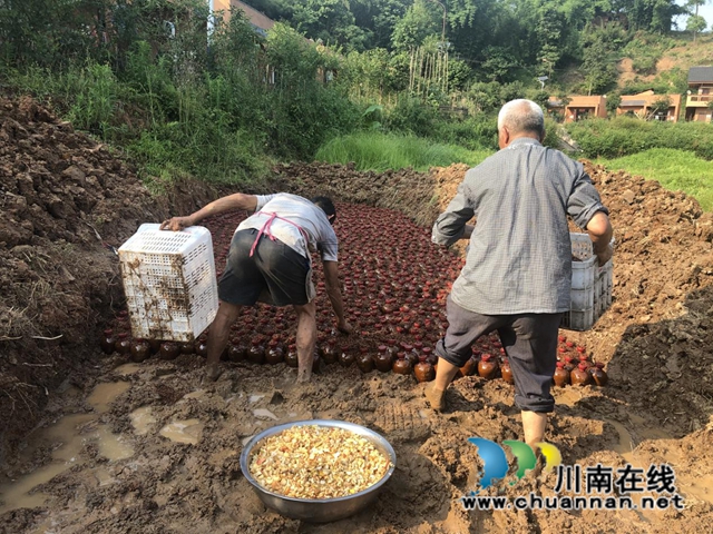 图片1.jpg