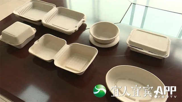 11月10日至12日,又一个国际盛会将在宜宾举行!(图3) 竹3.jpg