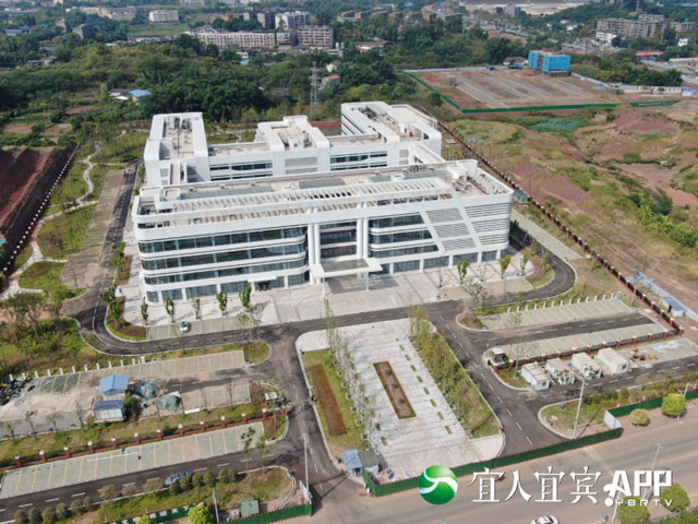 宜宾这十年丨绘就幸福画卷 民生福祉节节攀升(图10) 10-1.jpg