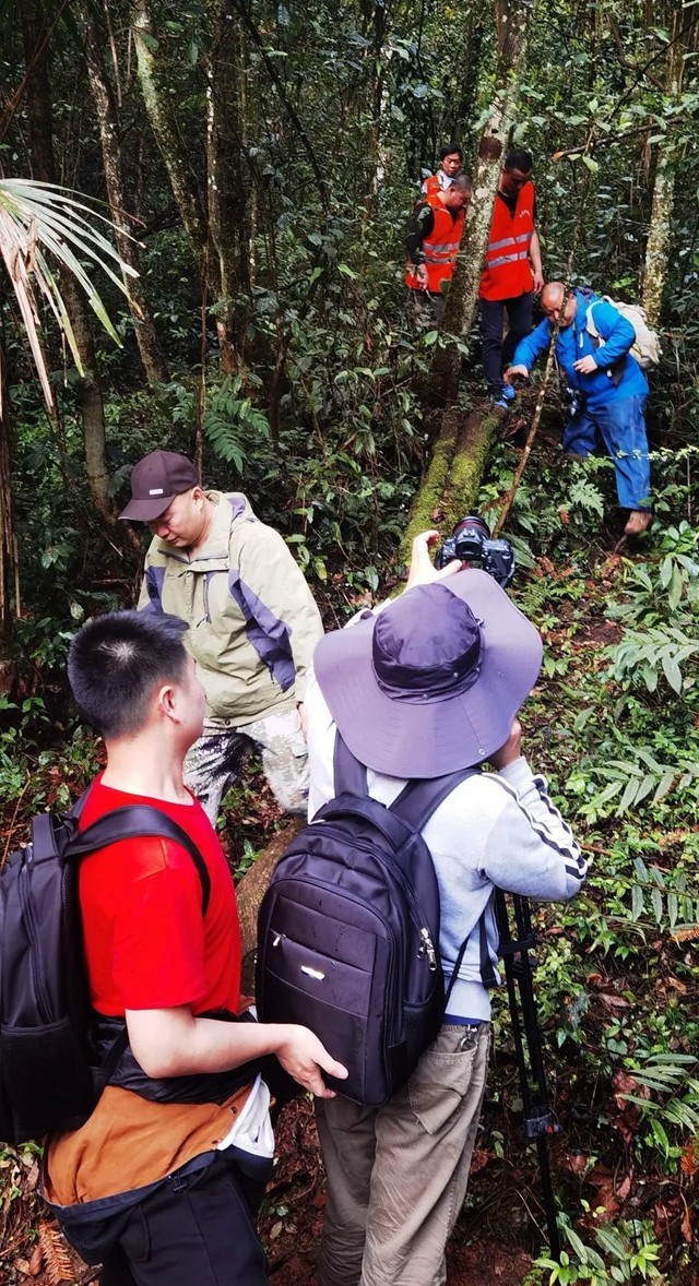 今日首播!央视即将播出古蔺三集纪录片,讲述古蔺神秘纯生态(图2) 2.jpg
