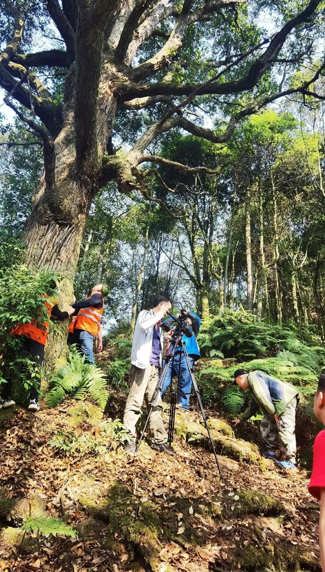 今日首播!央视即将播出古蔺三集纪录片,讲述古蔺神秘纯生态(图4) 4.jpg