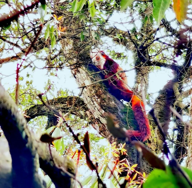 今日首播!央视即将播出古蔺三集纪录片,讲述古蔺神秘纯生态(图5) 5.jpg