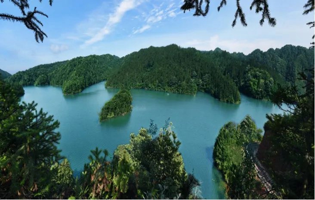 古蔺黄荆老林:泸州市首个省级自然教育基地!(图2) 黄荆2.jpg