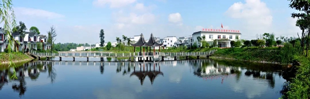 非凡十年|泸州市自然资源和规划局:笃行实干谱新篇(图9) 9.jpg