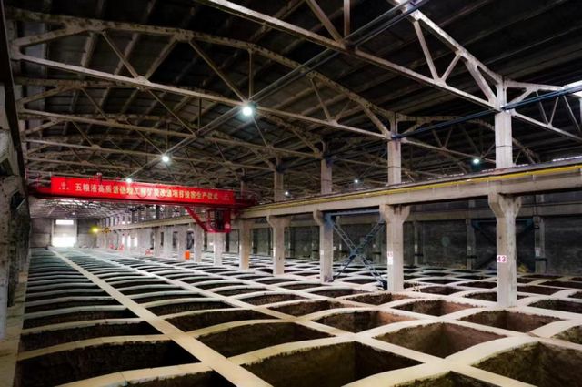 五粮液“高质量倍增工程”技改扩能项目建成投产(图7) nEO_IMG_7.jpg