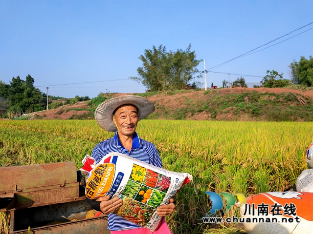 再生稻丰收，农户笑开颜11（曾佐然摄）.jpg