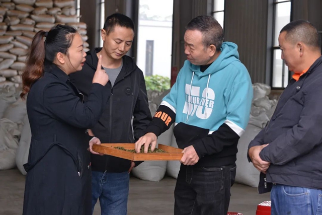 荣县这个镇茶叶综合产值实现10亿元!(图2) 荣县2.jpg