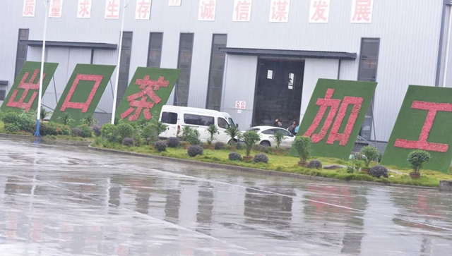 荣县这个镇茶叶综合产值实现10亿元!(图6) 荣县6.jpg