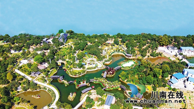 四川省泸州市龙马潭区特兴街道桐心院子 杨尚威摄.jpg