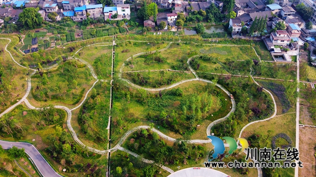 昔日污水横流的江滩荒地华丽转身为12万平方米的“城市绿肾”——图为生态环境整治完成后的老鹰坵生态湿地公园。 杨尚威摄.JPG