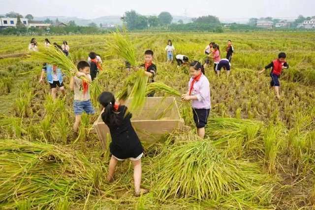 全省公示!泸州1区+3校入选(图2) 校3.jpg