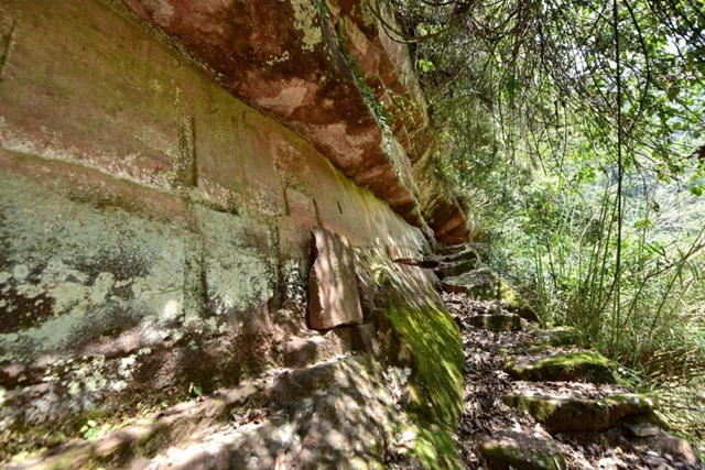 央视《生态秘境》关注古蔺茶马古道(图5) 5.jpg