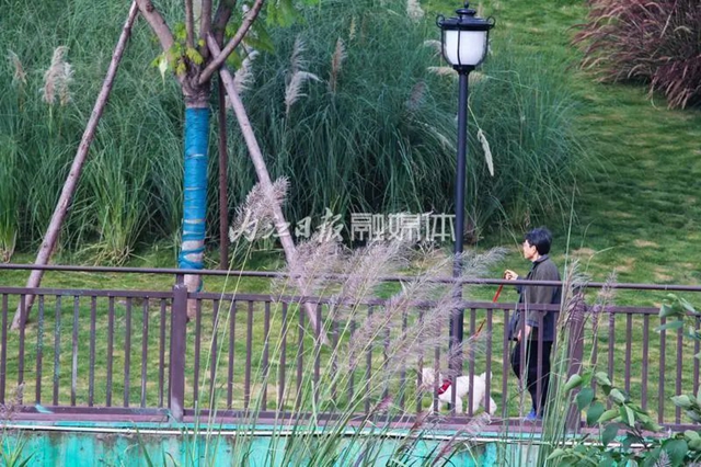 粉白相衬!秋天的内江七家滩也太惊艳了吧(图5) 5.jpg