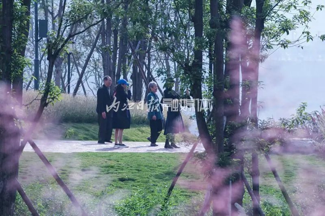 粉白相衬!秋天的内江七家滩也太惊艳了吧(图6) 6.jpg