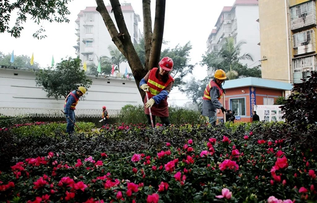 非凡十年 纳溪答卷|老旧小区改造 让老街坊乐享新生活(图3) 3.jpg