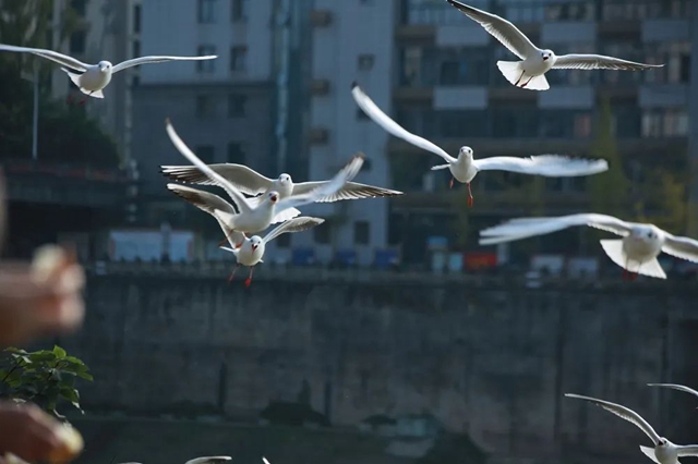 非凡十年 纳溪答卷|那溪那山,十年巨变(图30) 30.jpg