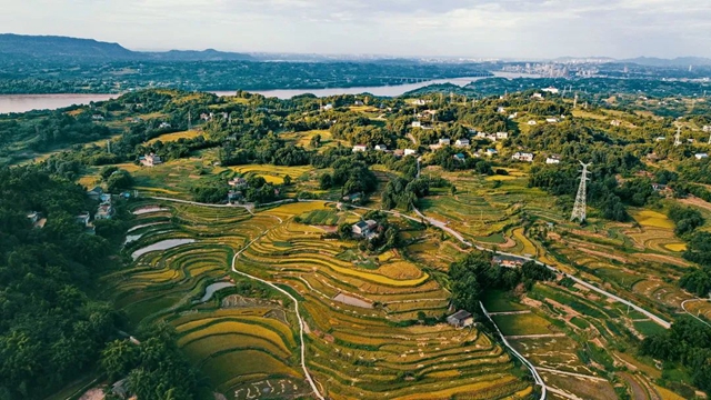 非凡十年 纳溪答卷|那溪那山,十年巨变(图37) 37.jpg