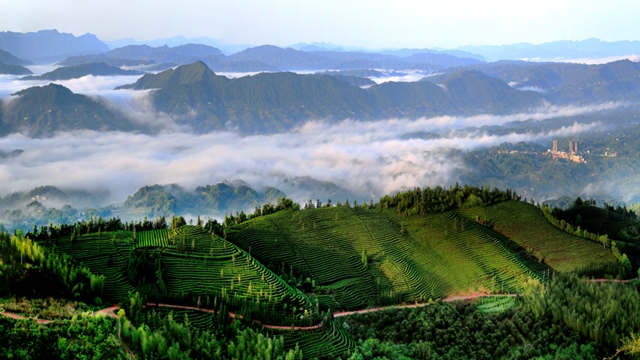 非凡十年 纳溪答卷|那溪那山,十年巨变(图33) 33.jpg