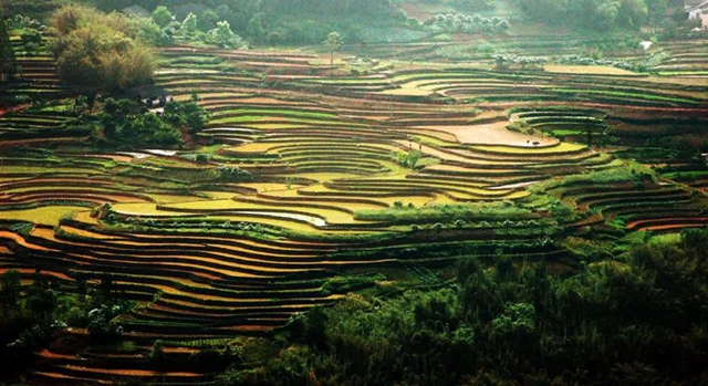 非凡十年 纳溪答卷|那溪那山,十年巨变(图34) 34.jpg