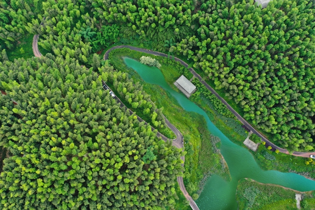 非凡十年 纳溪答卷|那溪那山,十年巨变(图43) 43.jpg