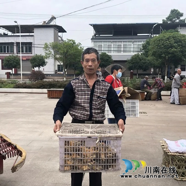 泸县:乡贤不忘故土恩,捐赠鸡苗暖人心(图2) 图片2.jpg