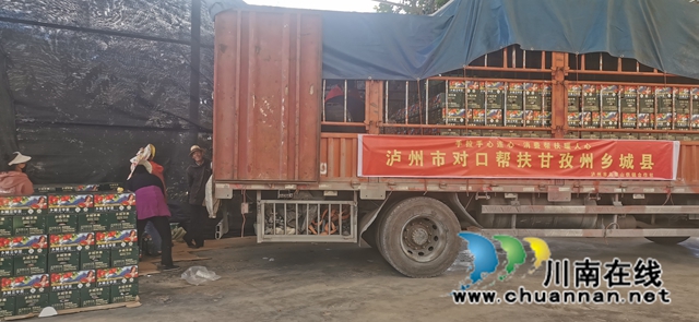 消费帮扶助农增收,乡城苹果到泸州(图3) 微信图片_20221021163817.jpg