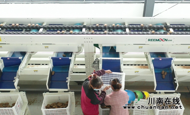 古蔺东新:“小火车”驶进乡贤产业园,农业科技上山进村(图2) 0d3c6c6ac5634a3397185ec8250a04a.jpg