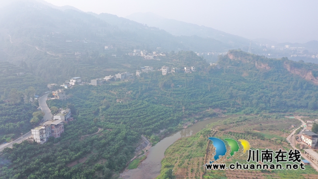 古蔺永乐:“柚”香“柚”甜,乡贤带头助力乡村振兴(图6) 两河口村柚子产业.jpg