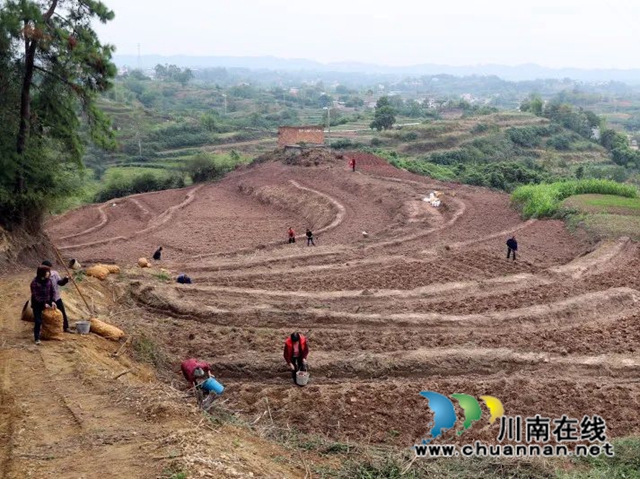 泸县毗卢镇拓展统战工作复耕撂荒土地(图1) 微信图片_20221014175755.jpg