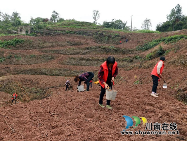 泸县毗卢镇拓展统战工作复耕撂荒土地(图3) 微信图片_20221014175800.jpg