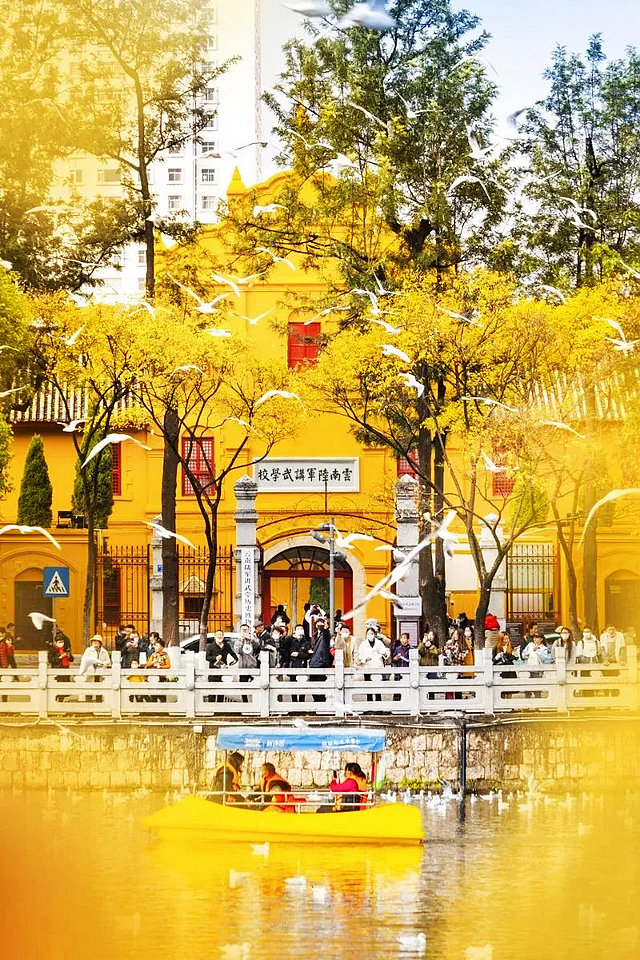 【航班快讯】泸州-昆明、泸州-温州航班有序恢复啦！