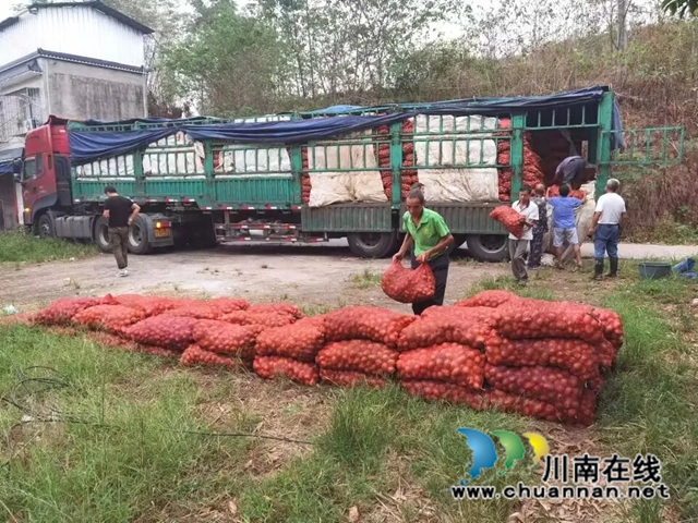 泸县福集镇:秋播秋种一片忙,田间地头“沃”希望(图1) 图片1.jpg
