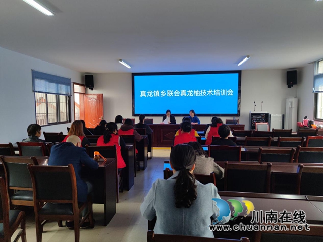 合江县真龙镇:柚树结硕果,乡贤助农再创收(图2) 2.jpg