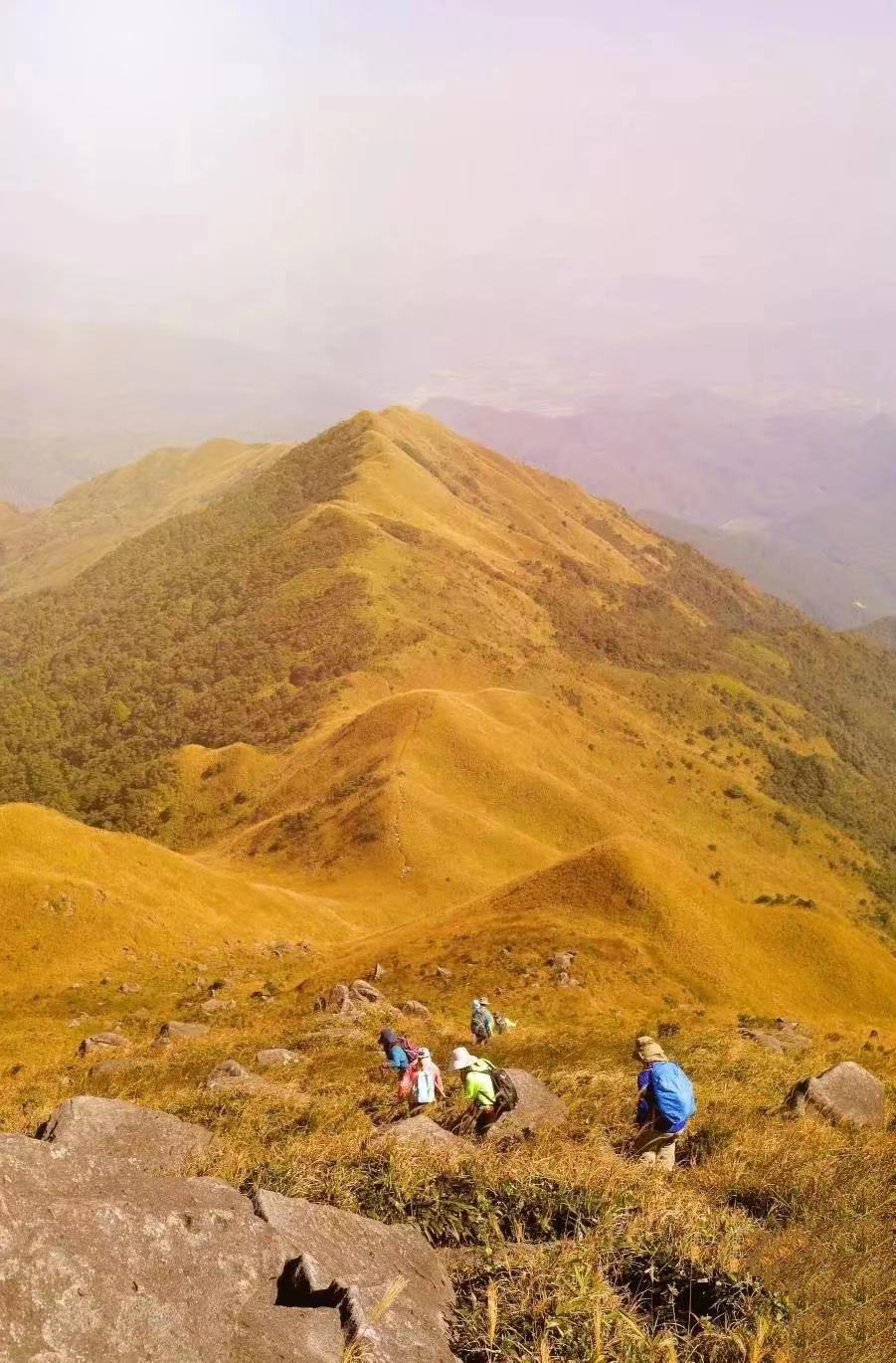 【航班快讯】11月2日起，泸州-惠州航班有序恢复啦！