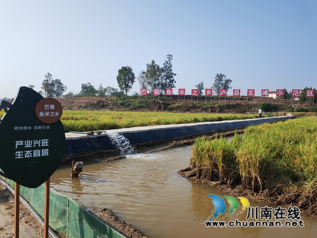 泸县玄滩镇新山村稻虾养殖基地（曾佐然摄）.jpg