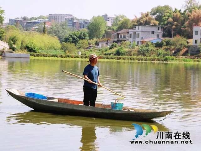 泸县:乡贤护理蔬菜园,丰收季节笑开颜(图4) 微信图片_20221019172935.jpg