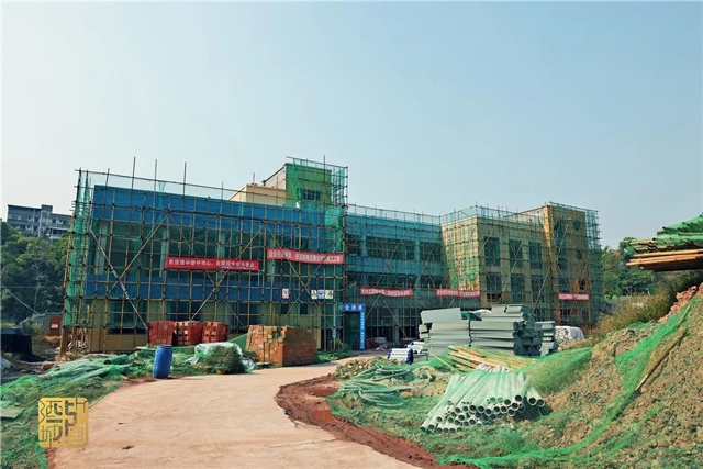 有学上更要上好学——把“小事”放心上，泸州这样守护民生底线