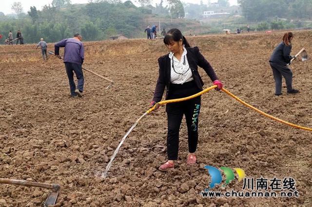 泸县毗卢镇:乡村振兴不松劲,深秋油菜种植忙(图4) 微信图片_20221104092700.jpg