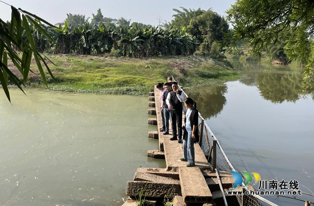 龙马潭区自然资源和规划分局巡查石洞街道顺江村云龙沟(图1) 沟.png