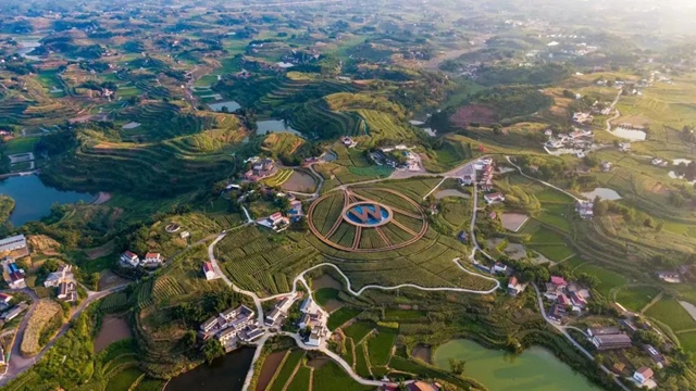 最高奖金50万元!宜宾向全球发出邀请,征集……(图3) 酒3.jpg